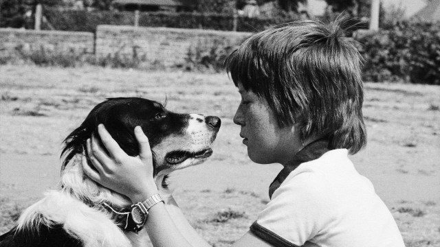 A child lovingly holds a dog’s face with both hands, gazing into its doggish eyes in an outdoor setting.