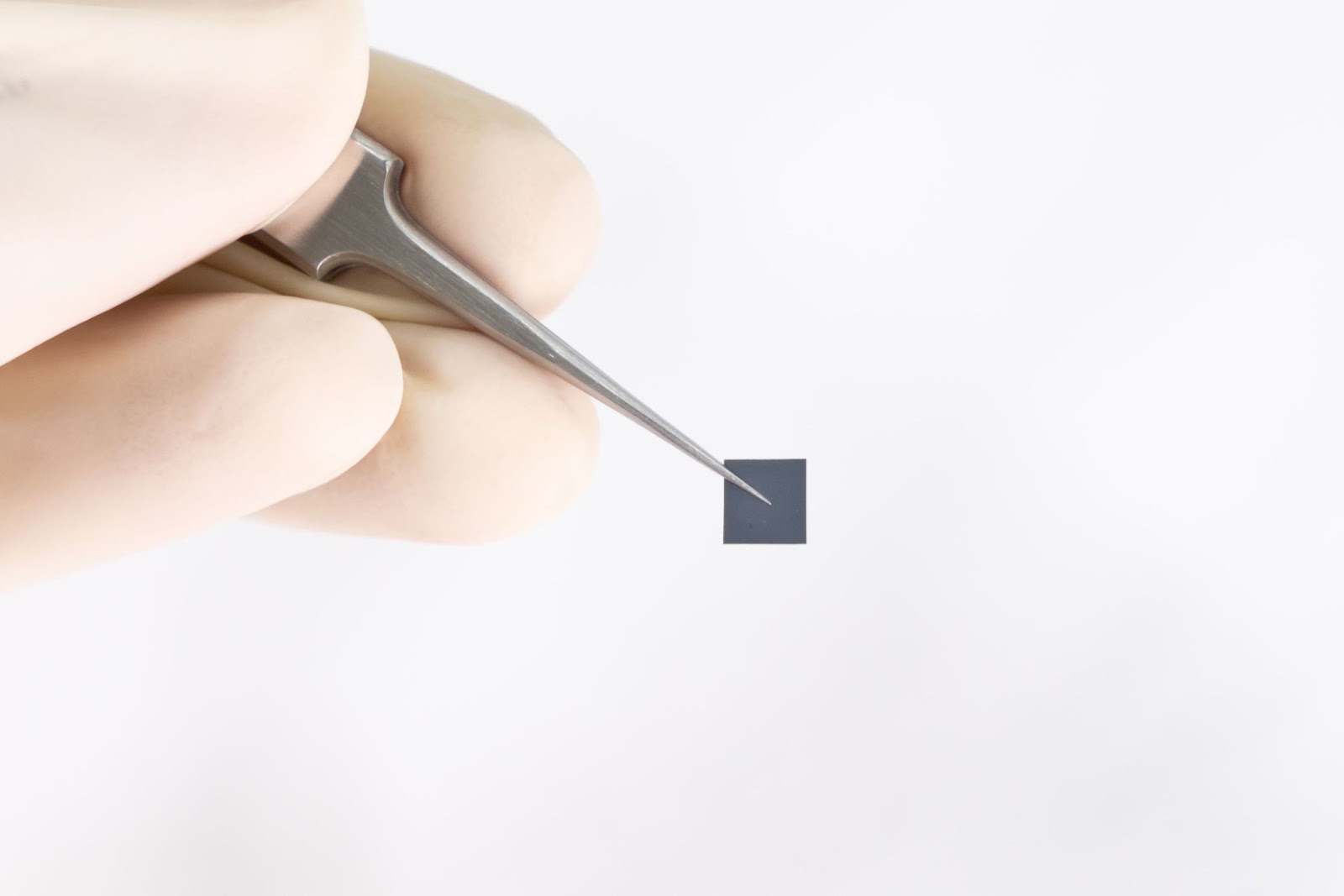 A gloved hand holding a pair of tweezers grasps a small, black square object against a plain white background.