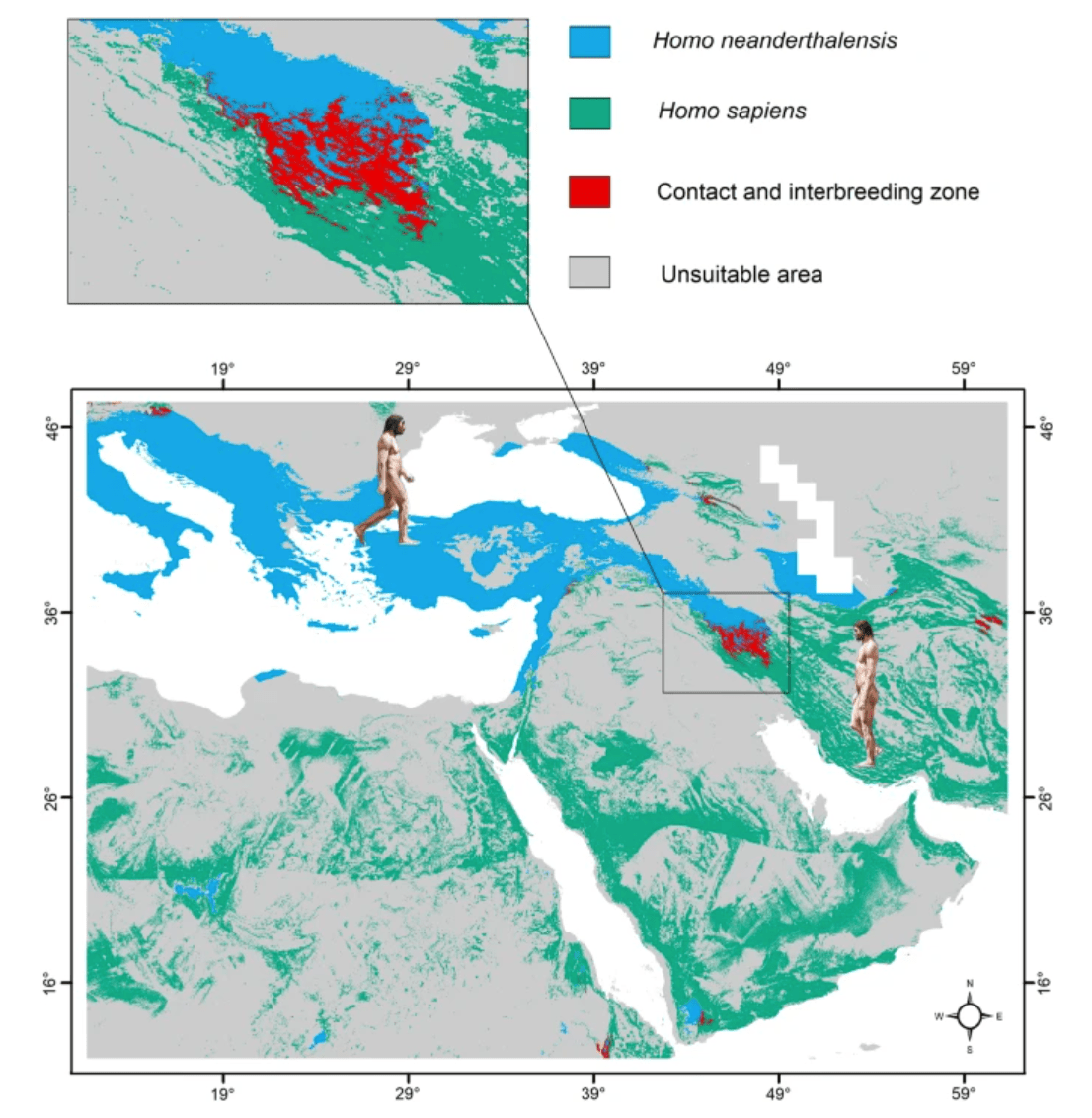 A map showing the regions inhabited by Homo neanderthalensis (green), Homo sapiens (blue), their contact and interbreeding zones (red), and unsuitable areas (grey) during the prehistoric period.