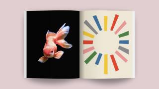 Open book showing a goldfish on the left page set against a black background and a colorful circular pattern on the right page, symbolizing the vibrancy of company culture. The book lies flat on a neutral surface.