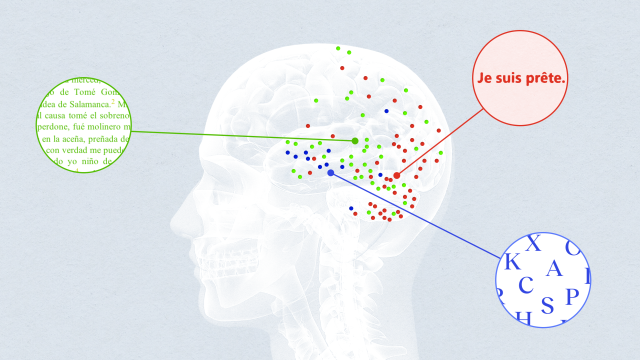 An illustration showing a side view of a human brain with colored dots representing neurons and text excerpts in three languages in circular insets.