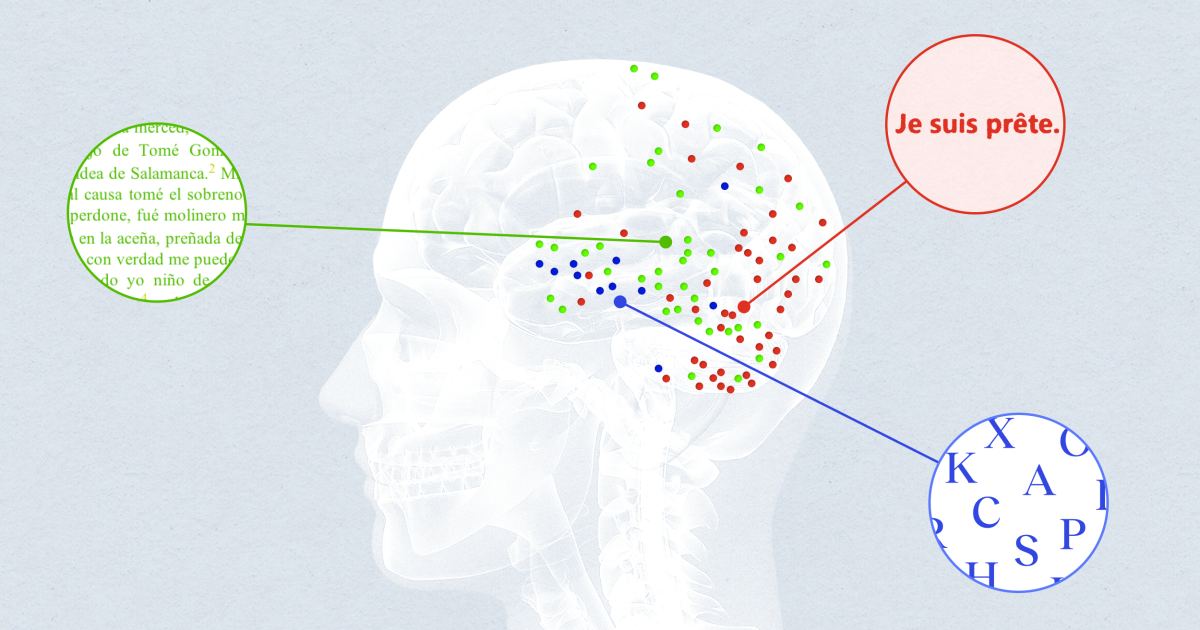 Scientists find neurons that process language on different timescales