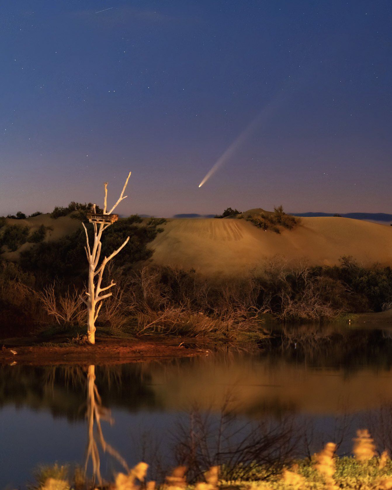 A comet streaks across the night sky above a hilly desert landscape with a lone bare tree and a reflective water body in the foreground.