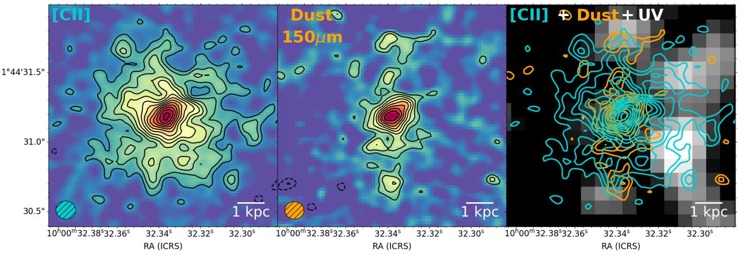 Three-panel image showcasing astronomical data: [CII] emission, dust at 150μm, and a combined view—including the youngest celestial formations—of [CII], dust, and UV. Each panel features contour lines and a scale of 1 kpc as the Milky Way rotates.