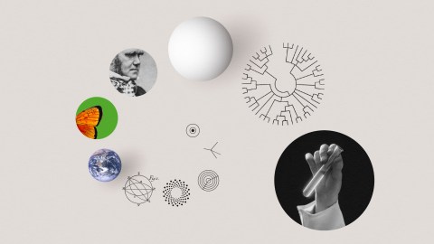 Collage of scientific discovery elements including a portrait, butterfly, globe, molecular diagrams, a tree diagram, and a hand holding a test tube against a plain background.