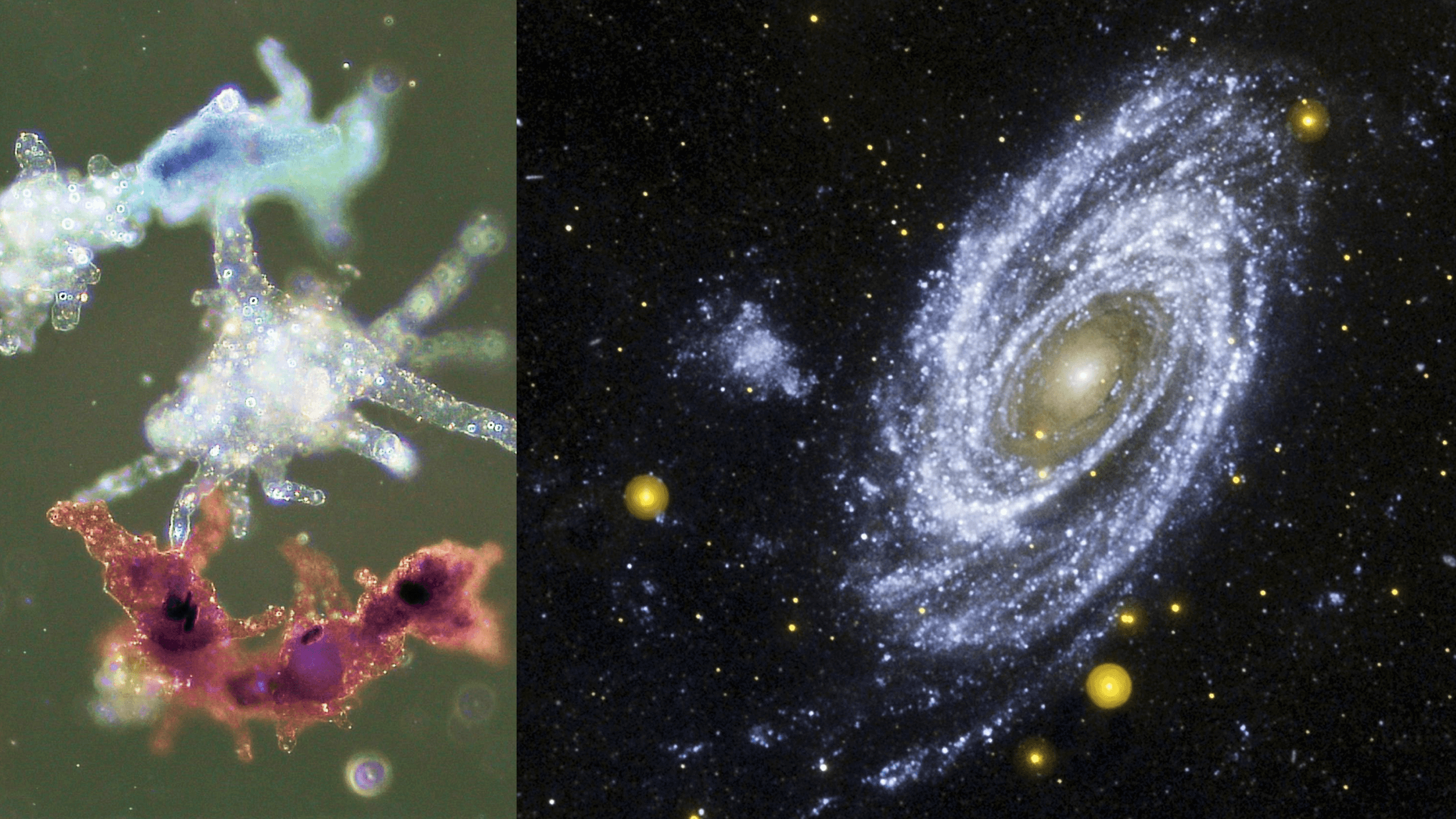 Close-up of multi-colored snowflakes on the left and a detailed view of a spiral galaxy on the right against a star-filled background.