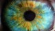 Close-up image of a human iris featuring vibrant blue and yellow hues with a dark pupil in the center.