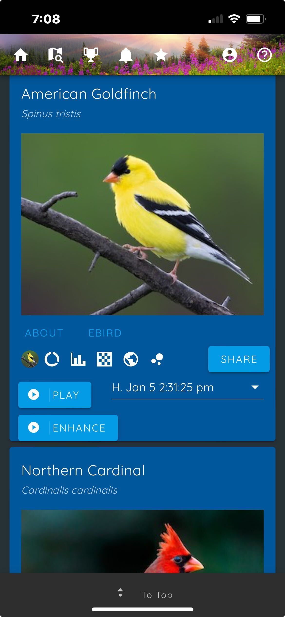 Screenshot of a birdwatching app showing an American Goldfinch perched on a branch, followed by an image of a Northern Cardinal.