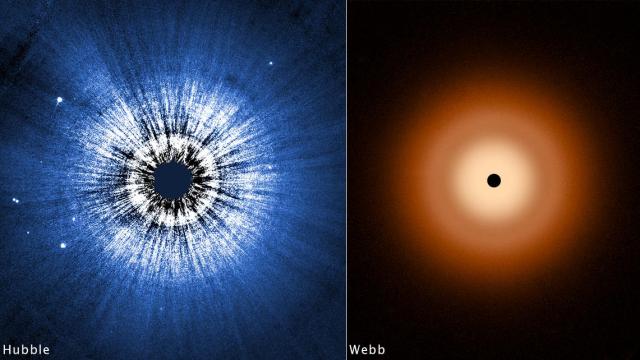 Comparison of a star's image, Vega, as taken by the Hubble Telescope (left, with starburst pattern) and the JWST (right, with clear circular halo).