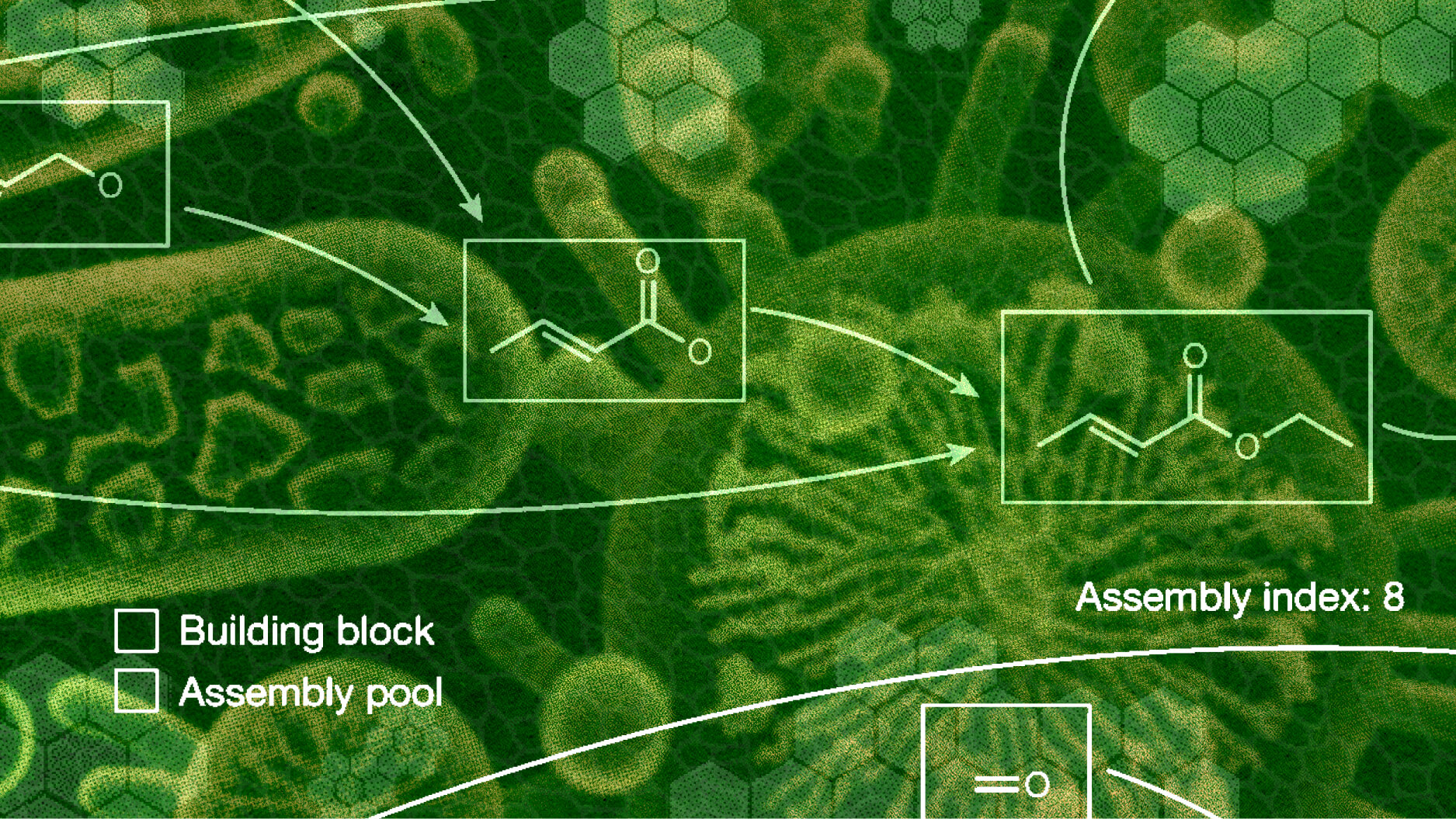 A green and abstract background with connected molecular diagrams and labeled sections: "Building block" and "Assembly pool," with an "Assembly index: 8.