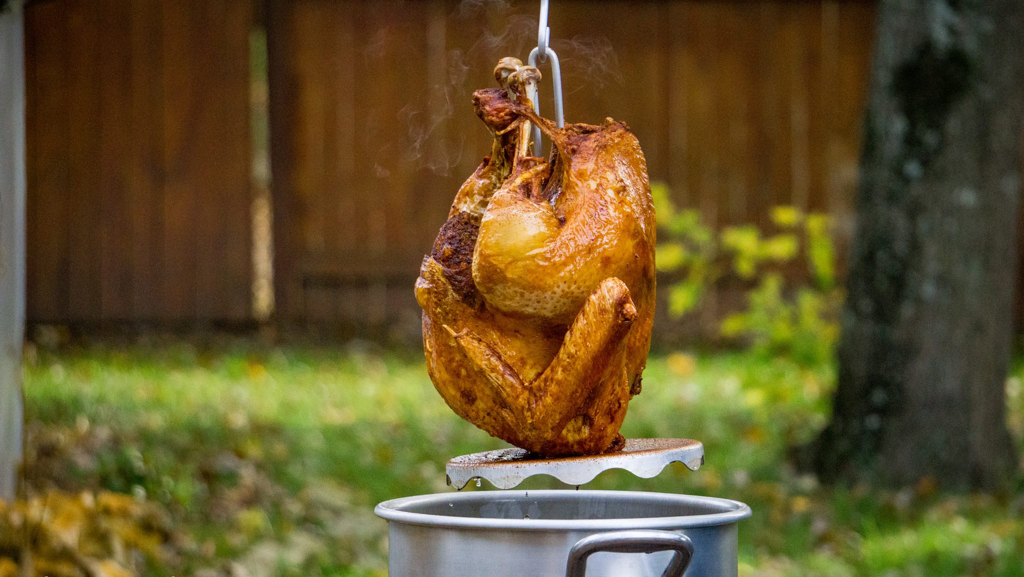 A golden-brown turkey being carefully lowered into a metal pot outdoors, ready for a deep fry amidst the grassy area and wooden fence.