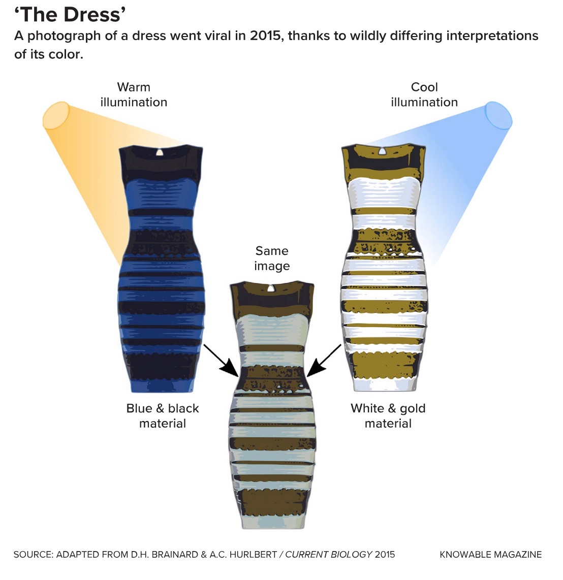 Diagram showing "The Dress" in different lighting conditions: warm illumination makes it appear blue and black, cool illumination makes it appear white and gold, with the same image in the center.