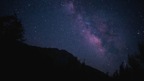 Under the night sky, where the Milky Way galaxy glows above a silhouette of trees and a mountain, stars scatter across the deep blue and purple expanse. It's an ideal backdrop for alien hunting, sparking curiosity about potential biosignatures hidden among those distant celestial wonders.