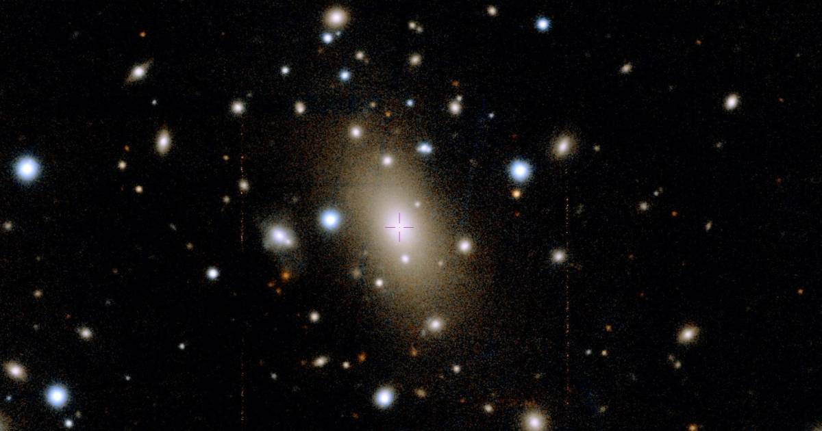 Exploring the Immensity of the Universe's Largest Galaxy