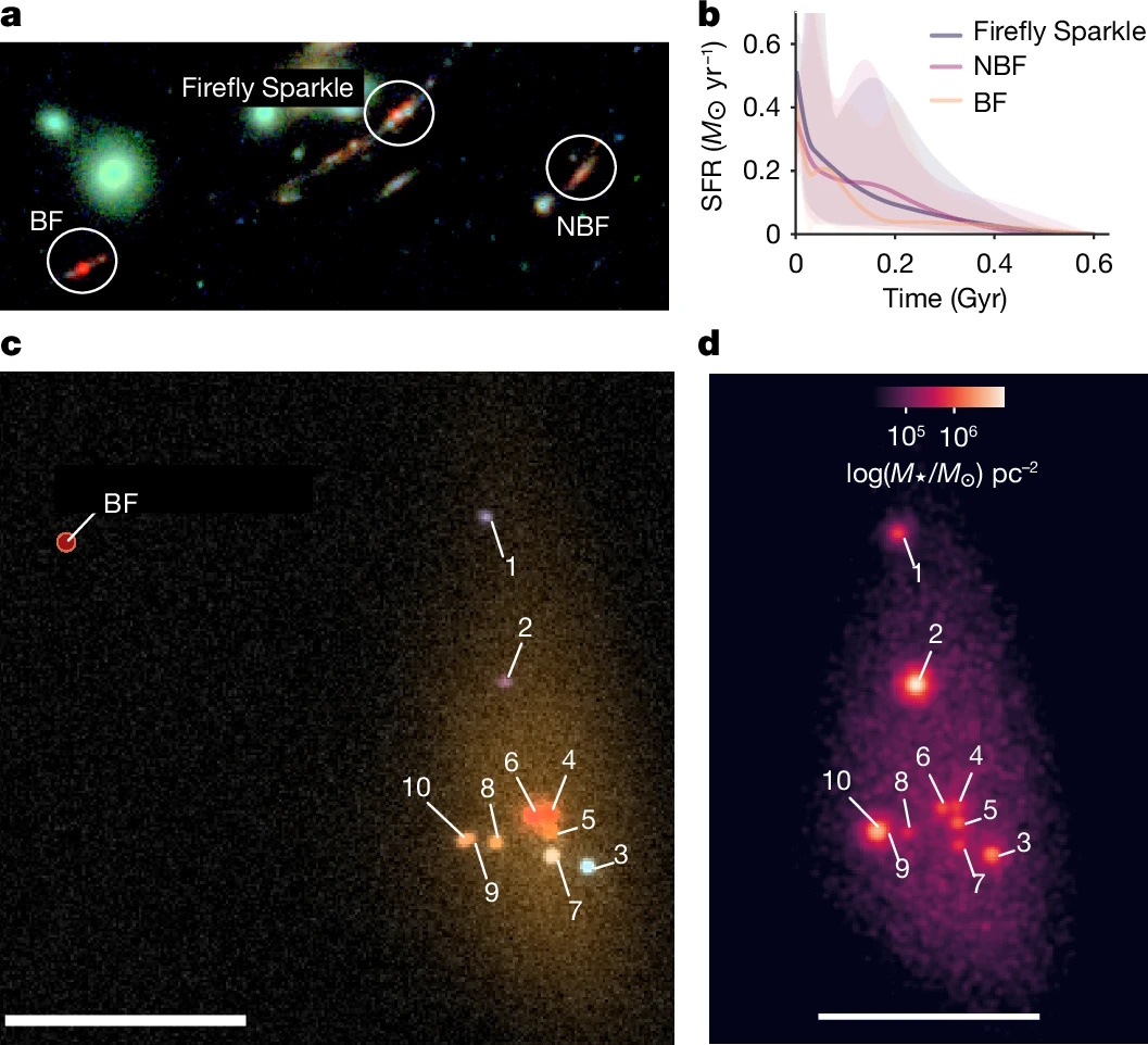 A series of scientific images and graphs showcasing star formation rates and density, labeled Firefly Sparkle, BF, and NBF, with marked features and numerical indicators, evokes the wonder of a JWST glimpse into the baby Milky Way.