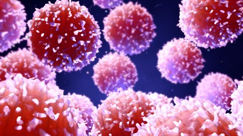 Illustration of pink and white fluffy spherical objects on a dark background, subtly evoking the microscopic appearance of lung cancer cells.