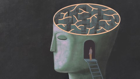 Illustration of a person standing on a ladder inside a large head with a maze-like brain exposed, symbolizing introspection or exploration of the mind.