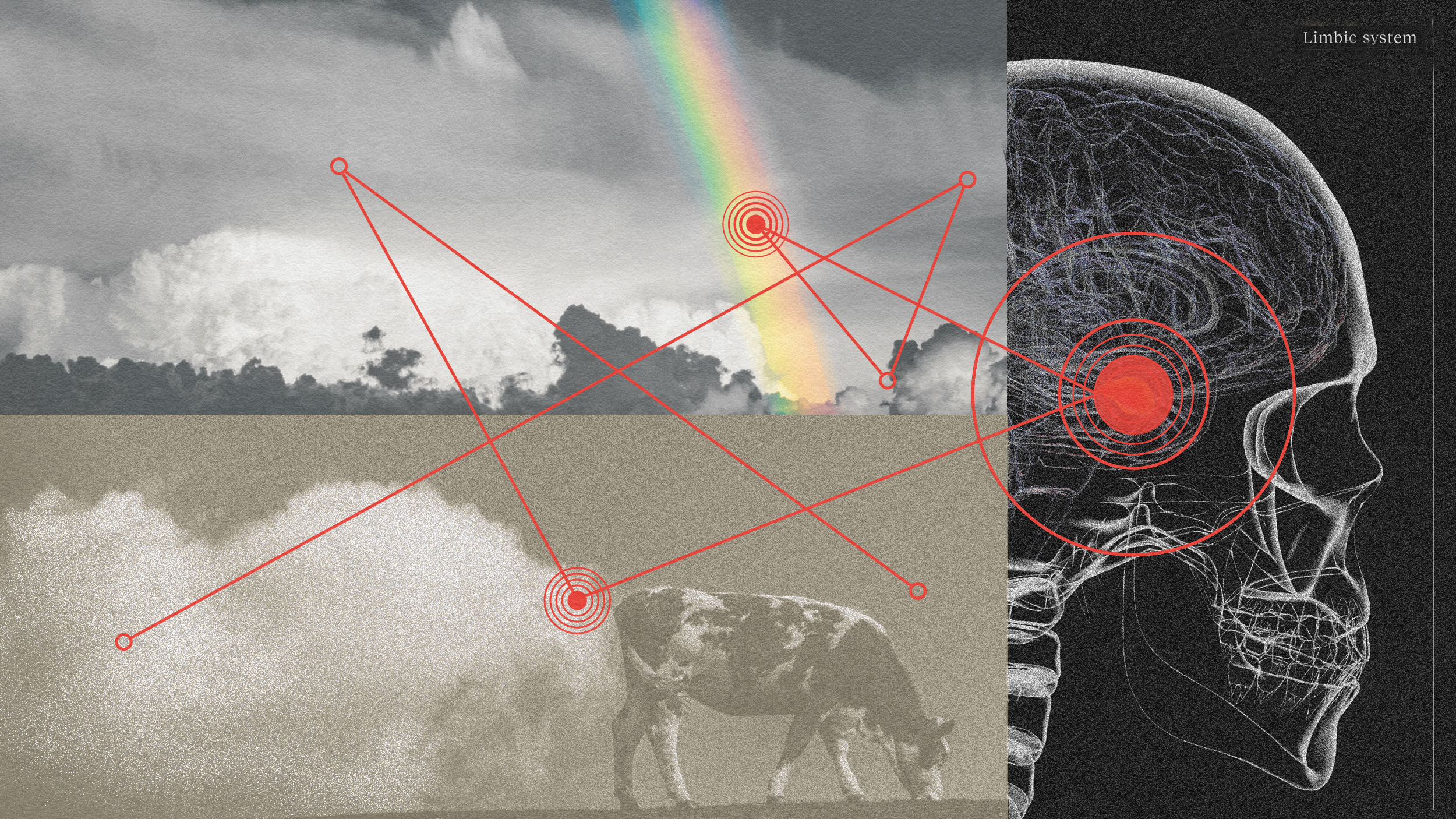 An illustration intertwines reality with imagination, featuring a cow, a rainbow, and a human skull linked by red lines and targets.