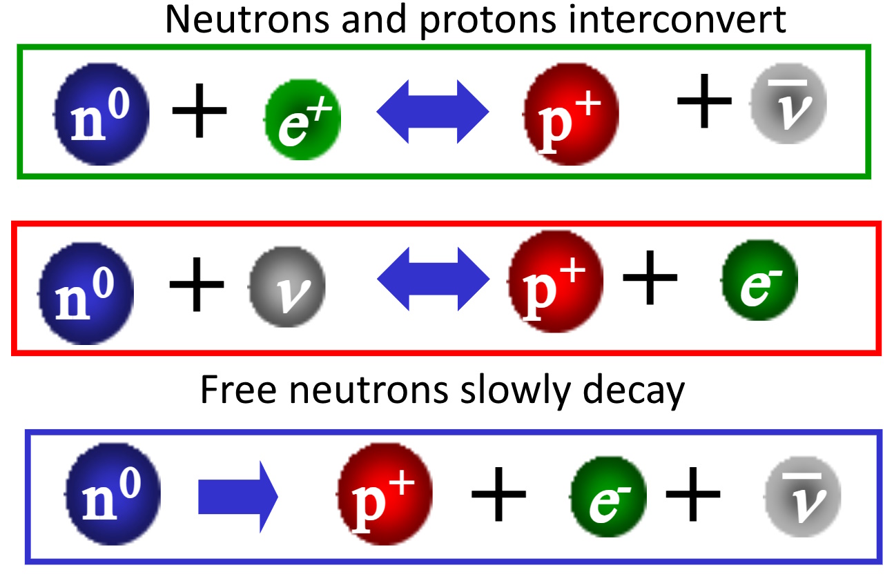 Diagram illustrating the energy involved in neutron-proton interconversion and free neutron decay, featuring beta particles, neutrinos, and antineutrinos—essential steps reminiscent of processes shortly after the Big Bang.