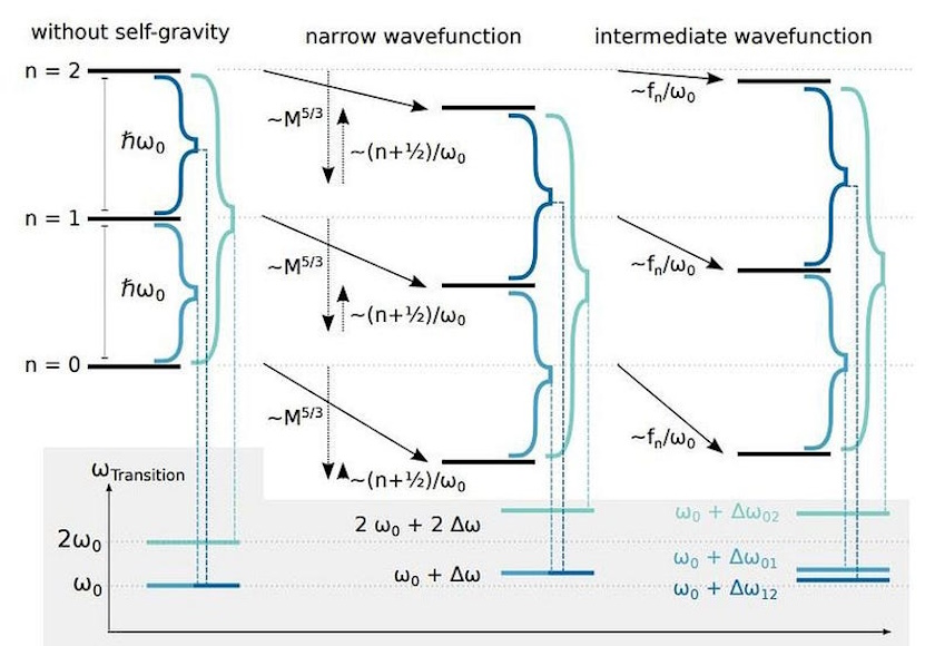 Diagram illustrating energy levels of wavefunctions: without self-gravity, narrow wavefunction, and intermediate wavefunction, each showing transitions and energy terms in scientific notation, subtly hinting at the intriguing possibility that gravitons exist within these dynamics.