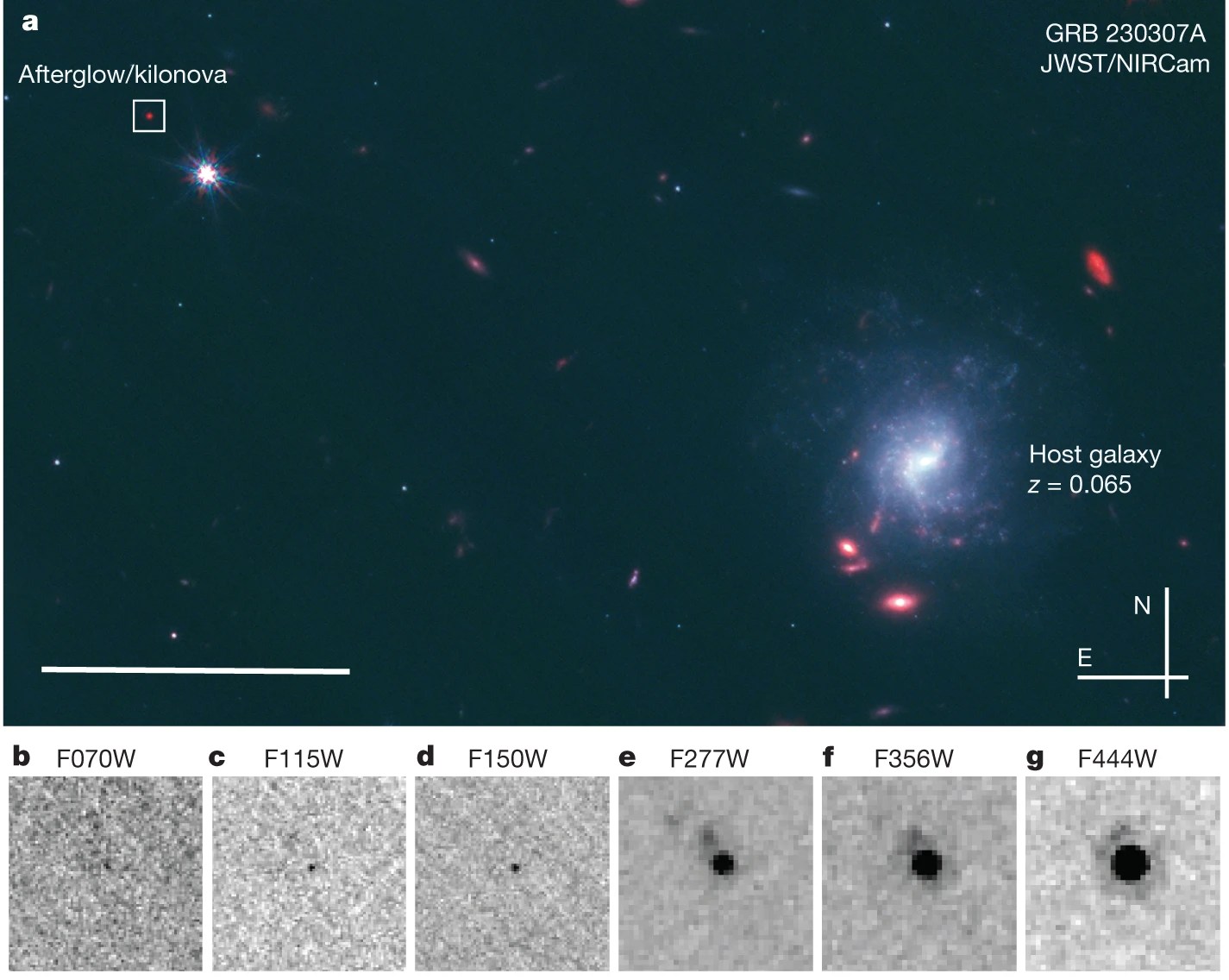 The JWST/NIRCam captured a space image showcasing an afterglow/kilonova birthed from colliding neutron stars and host galaxy GRB 230307A. Insets (b-g) offer zoomed views across various filters, with the host galaxy redshift at z = 0.065.