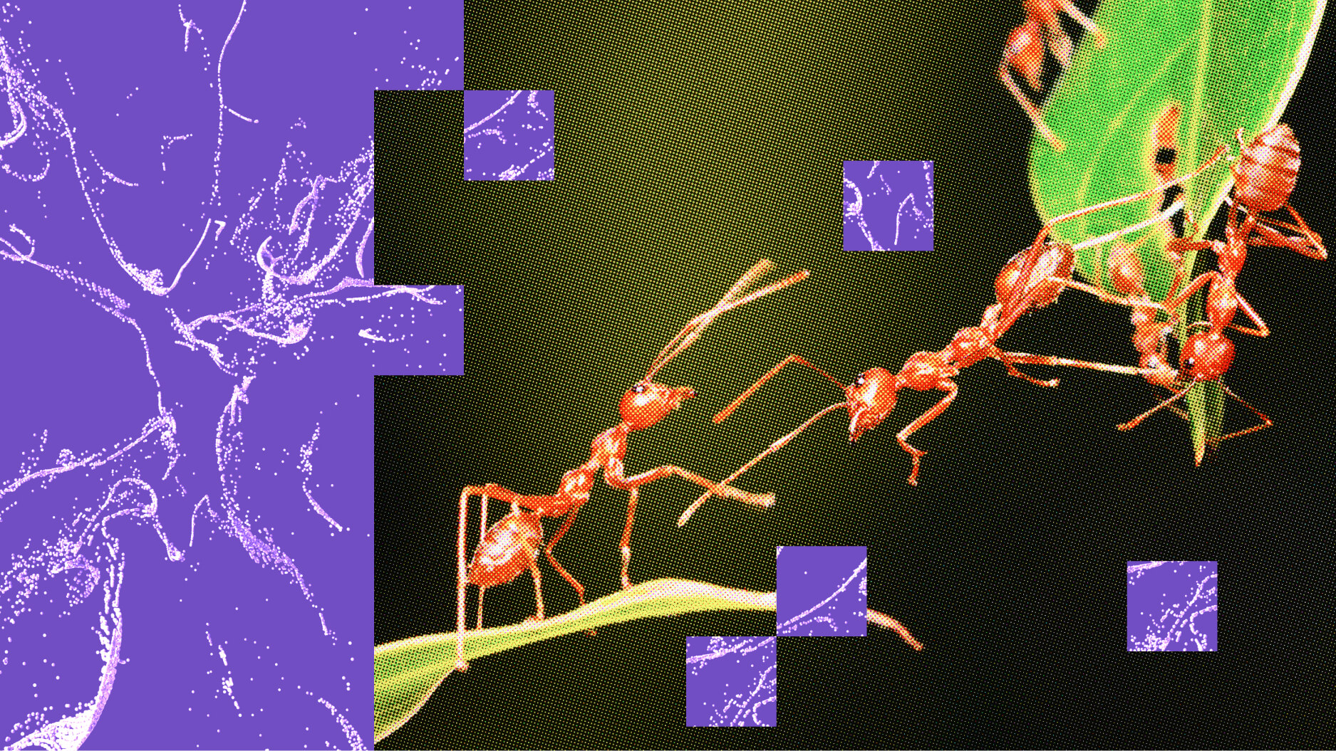 Red ants on green leaves with purple abstract shapes and squares in the background, symbolizing how AI for stronger teams can create a vibrant, interconnected ecosystem.