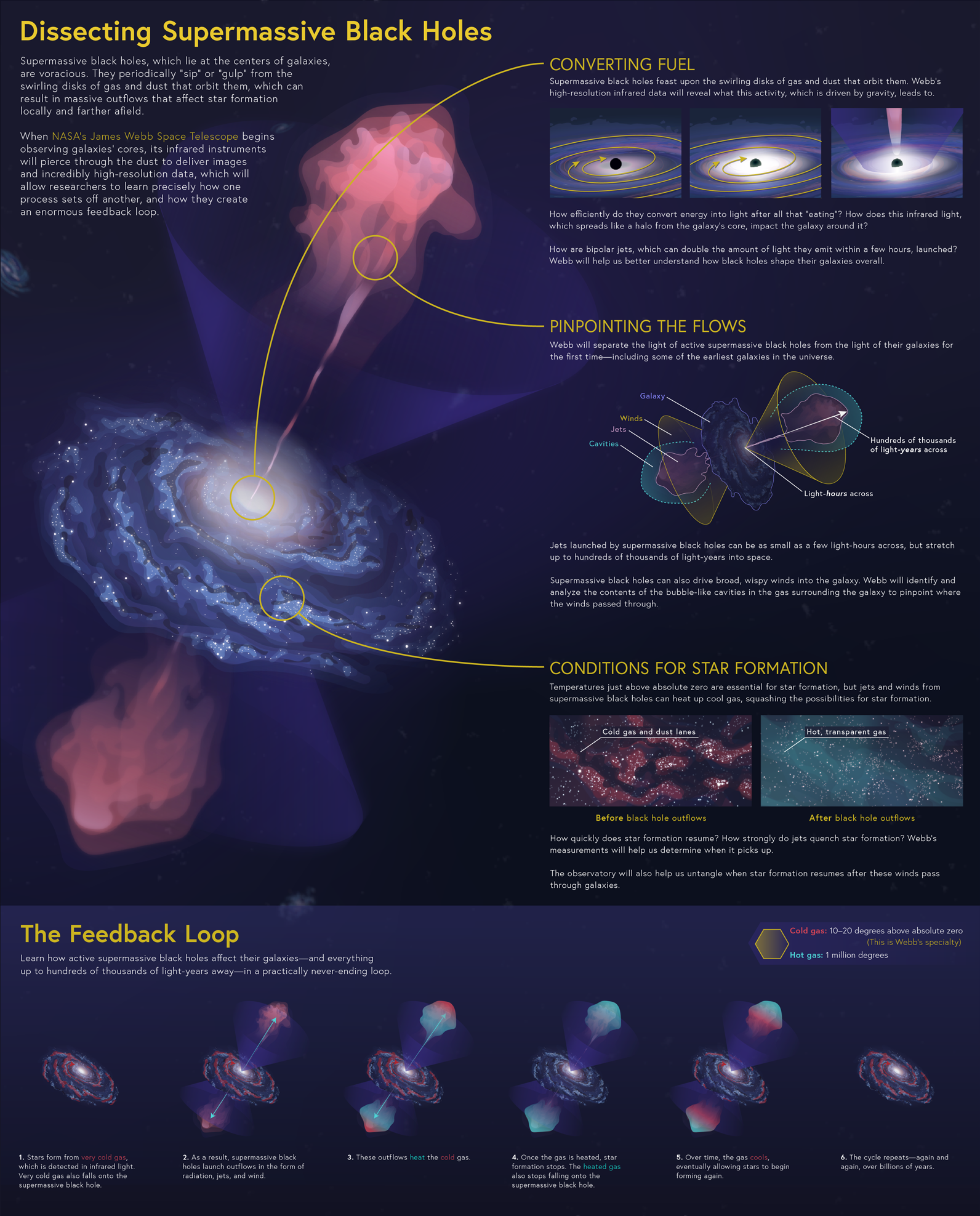 Infographic exploring supermassive black holes and their fascinating dynamics, including fuel conversion, star formation conditions, and feedback loops. Labeled diagrams illuminate these cosmic phenomena, enhanced by JWST's insights into those mysterious little red dots in space.