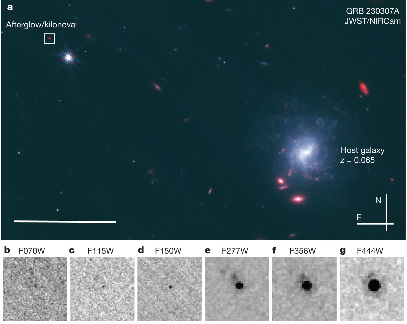 In a groundbreaking JWST discovery, the image showcases a star marked "Afterglow/kilonova" within its "Host galaxy z = 0.065." Insets below reveal detailed wavelength images from F070W to F444W, highlighting the precision and power of this extraordinary scientific achievement.