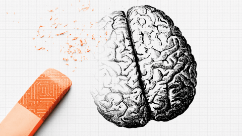 A pencil eraser gently rubs away a detailed sketch of a human brain on graph paper, subtly symbolizing the fine balance needed in critical thinking.