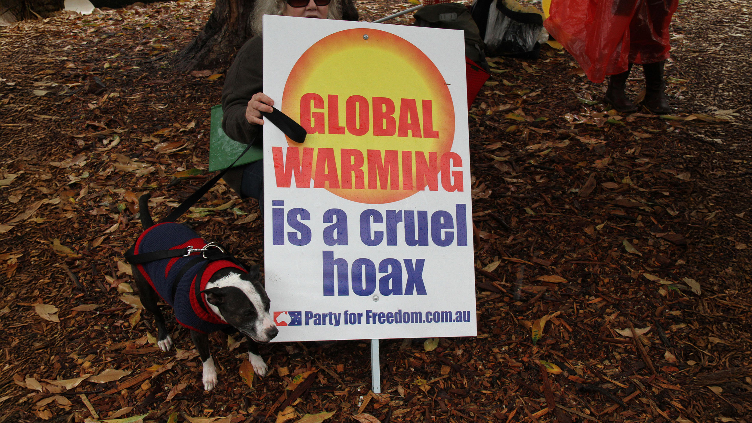 A person holds a sign reading "GLOBAL WARMING is a cruel hoax" with a dog standing nearby on a leafy ground.