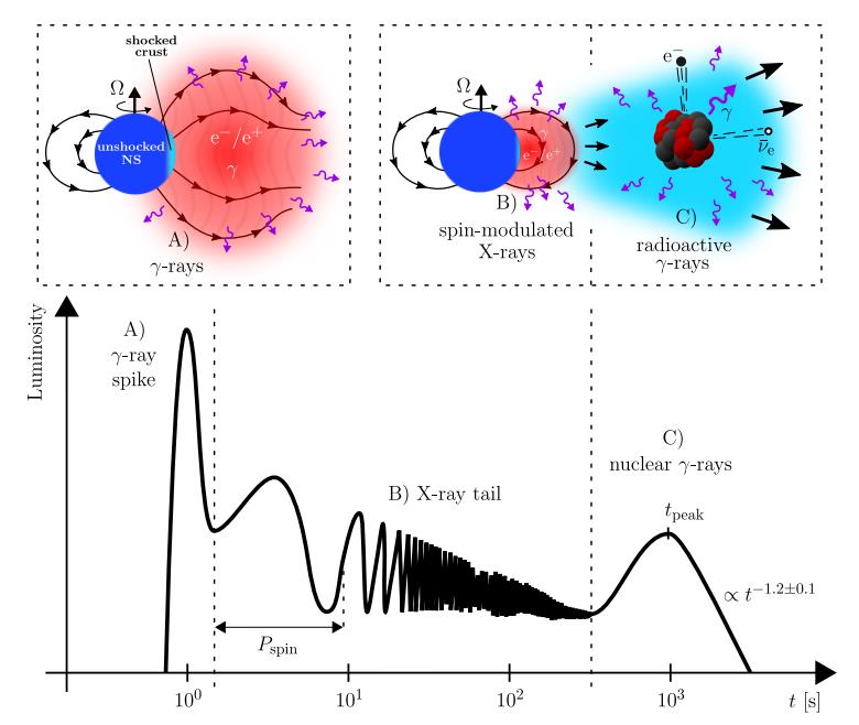 Diagram showing a graph of luminosity over time with three labeled regions A, B, and C, corresponding to visual explanations of shocked crust in a colliding neutron star, spin-modulated X-rays captured by JWST, and nuclear gamma-rays.