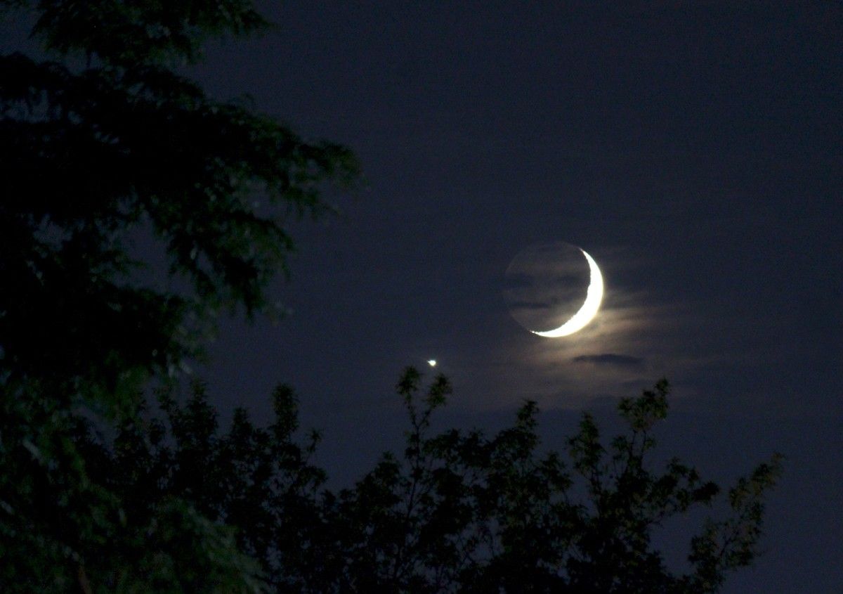 A crescent moon hangs in the dark sky, framed by silhouetted tree branches and a bright star nearby, reminiscent of a supermassive black hole caught turning on in the cosmos.