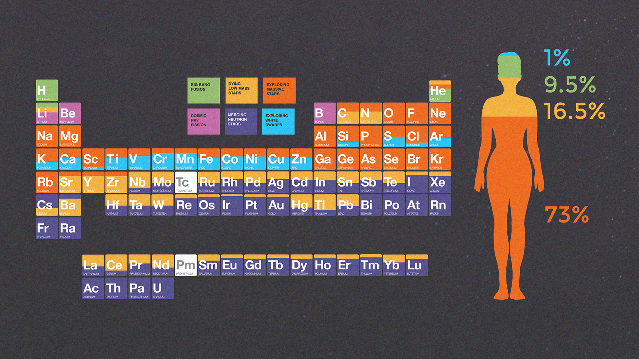 Illustration of the periodic table with a human silhouette reveals how heaviest elements shape us. Elements are color-coded, depicting the percentage composition of the body: 73% oxygen, 16.5% carbon, 9.5% hydrogen, and 1% others.