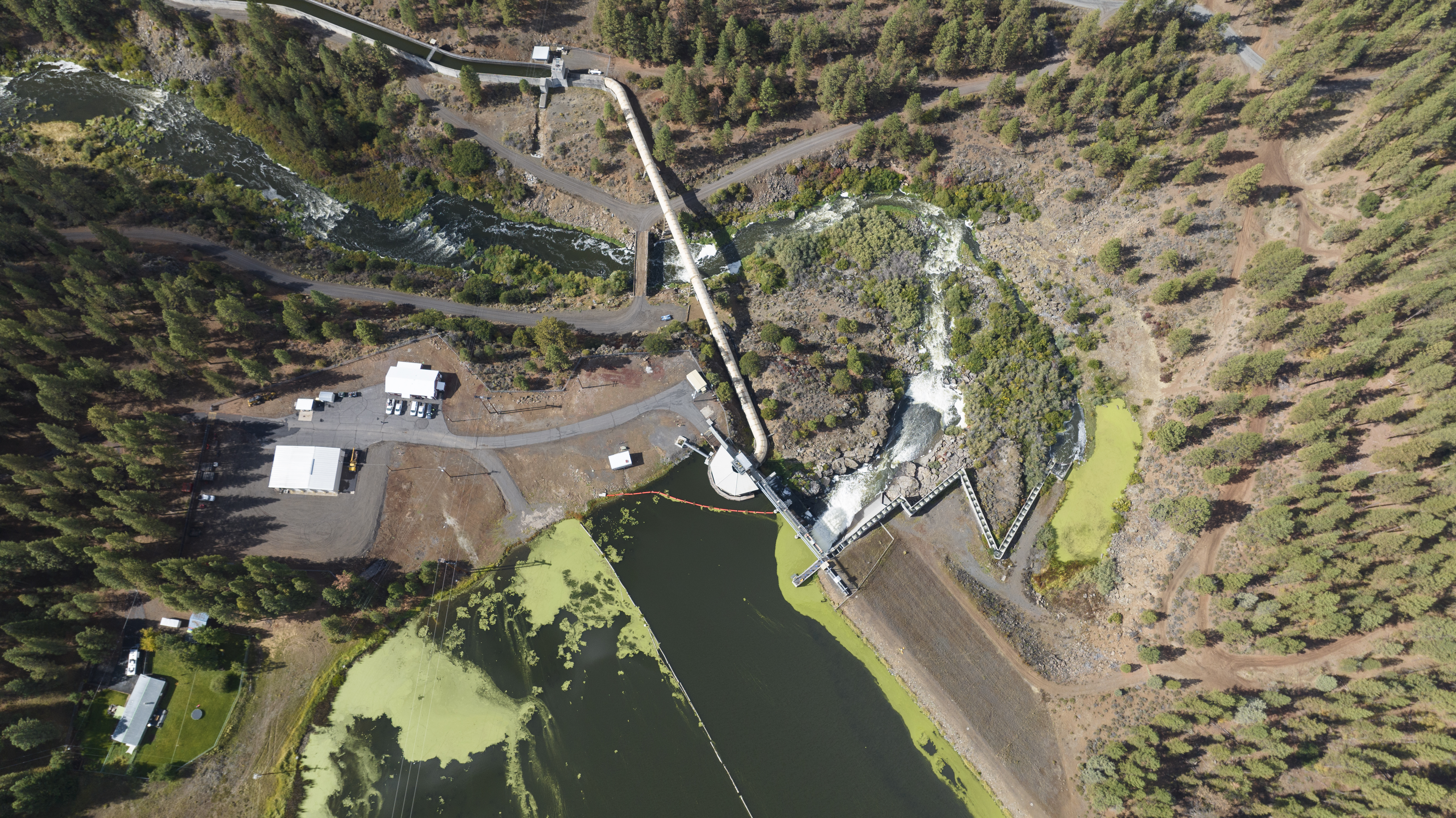 Aerial view of a dam with adjacent buildings and surrounding forested area. The reservoir shows green algae on the water surface. Roads and infrastructure are visible.