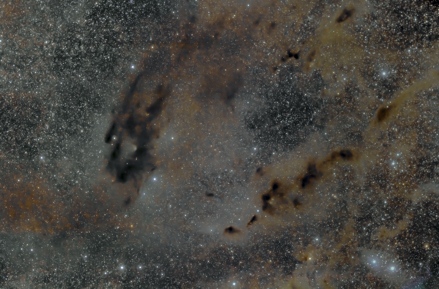 An expansive view of a starry night sky, where the JWST captures dense clusters of stars and interstellar dust clouds in varying shades of gray and tan, revealing the birth of new star systems.