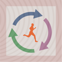 Building Habits That Stick