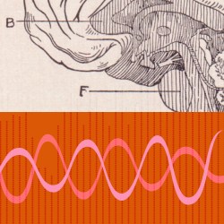 The Science of Productivity