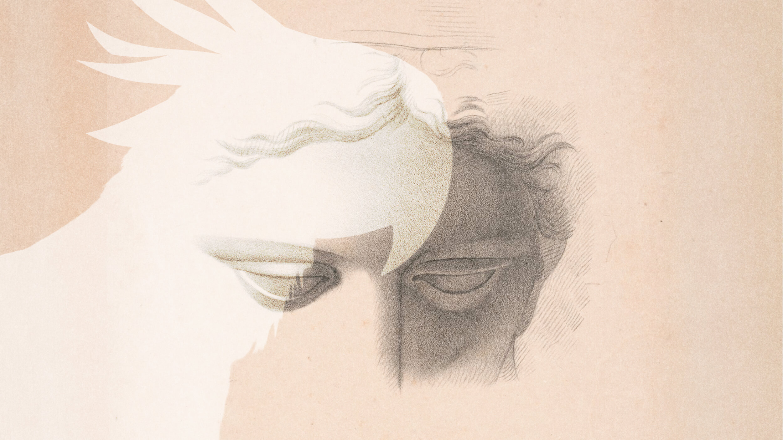 A stylized drawing of a classical statue’s eyes is overlaid with a pale abstract shape resembling a bird's head and wing, evoking themes of dead closure, all set against a beige background.