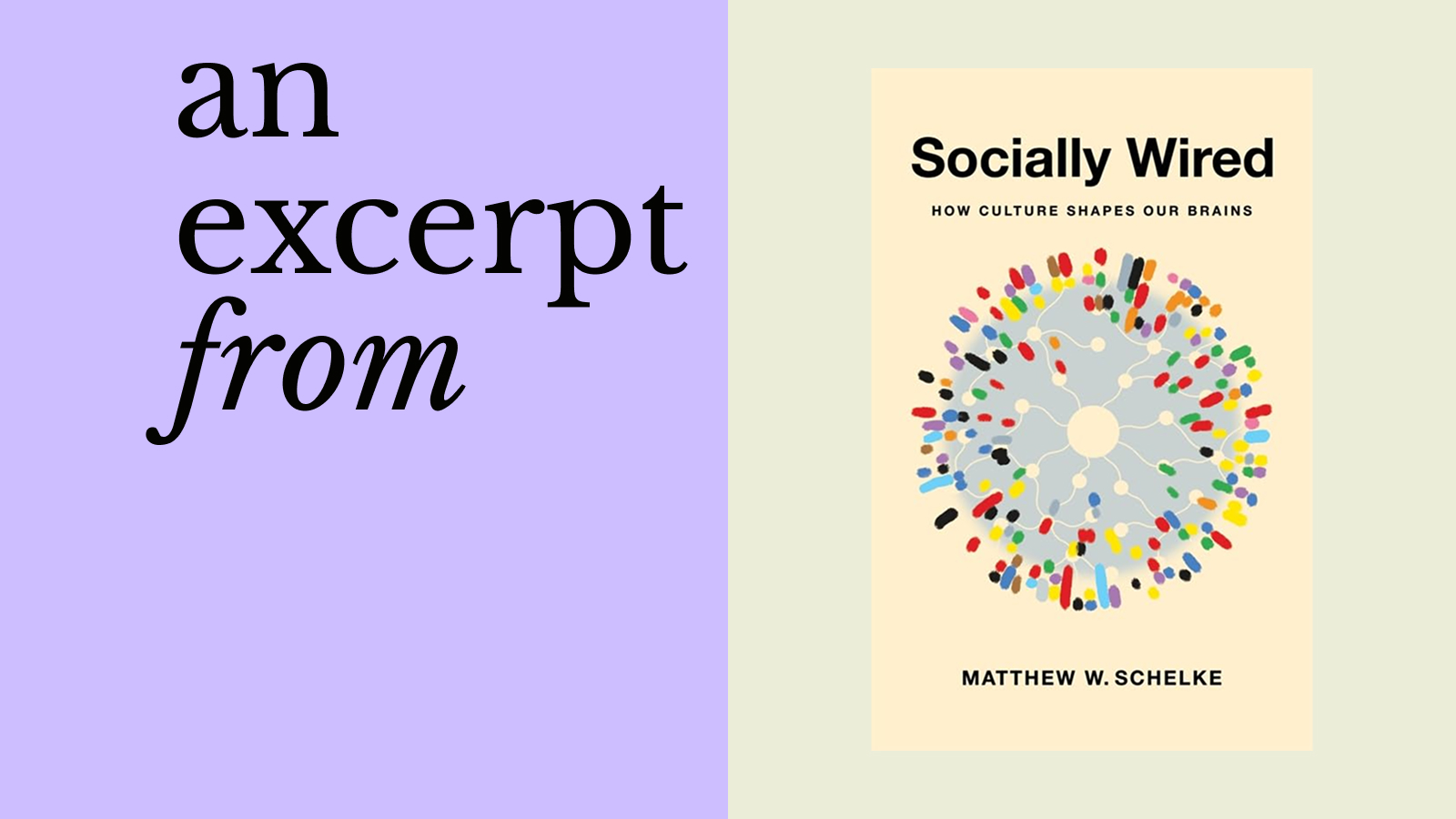 Book cover of "Socially Wired: How Culture Shapes Our Brains" by Matthew W. Schelke next to text saying "an excerpt from" on a purple background, exploring how culture gives meaning to the brain's unique wiring.