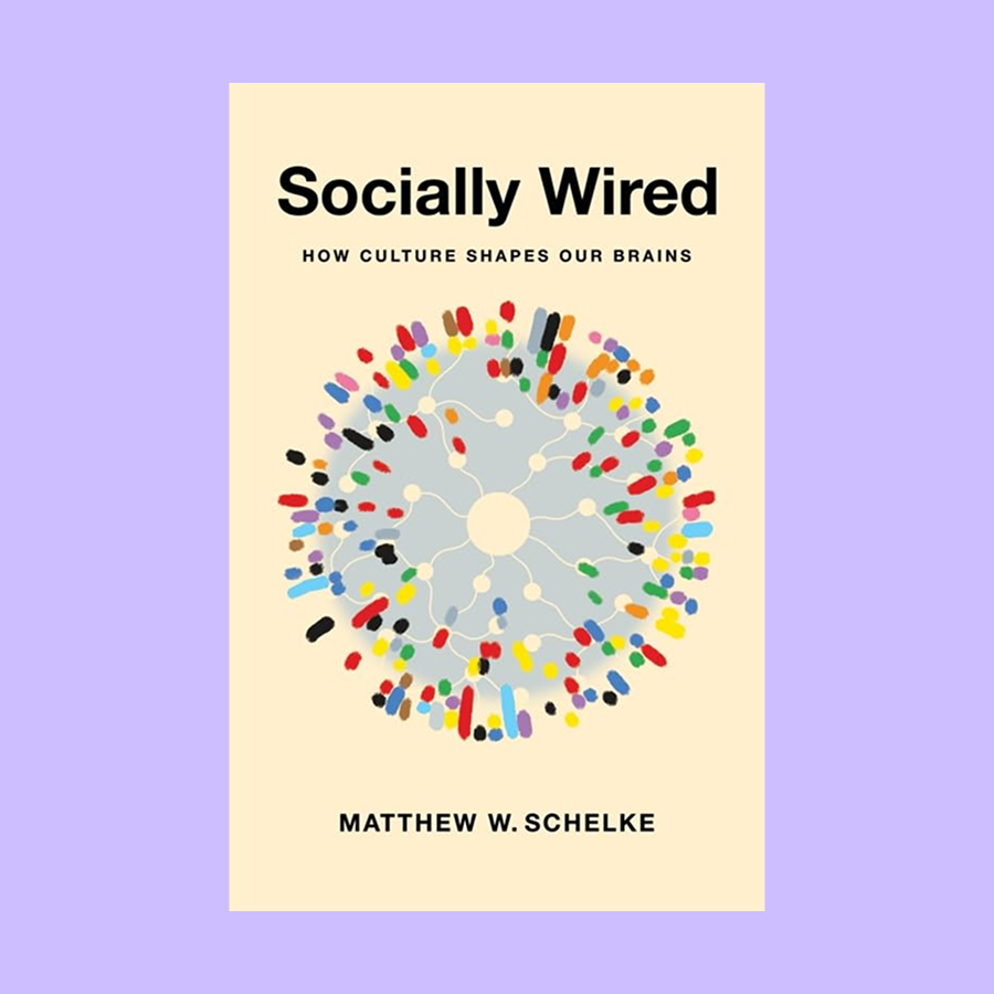 Book cover of "Socially Wired: How Culture Shapes Our Brains" by Matthew W. Schelke, featuring a colorful neural network illustration on a light background that highlights the connection between brain and meaning.